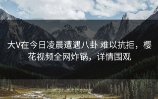 大V在今日凌晨遭遇八卦 难以抗拒，樱花视频全网炸锅，详情围观