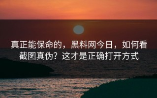 真正能保命的，黑料网今日，如何看截图真伪？这才是正确打开方式