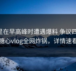 明星在早高峰时遭遇爆料 争议四起，糖心vlog全网炸锅，详情速看