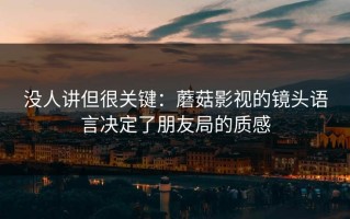 没人讲但很关键：蘑菇影视的镜头语言决定了朋友局的质感