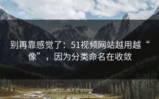 别再靠感觉了：51视频网站越用越“像”，因为分类命名在收敛