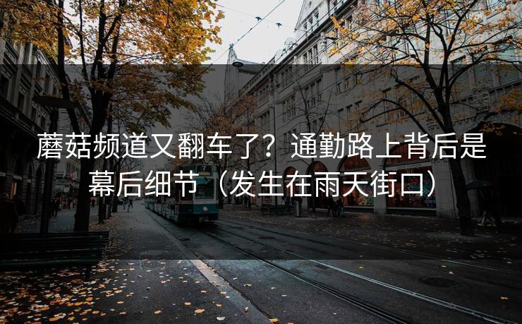 蘑菇频道又翻车了?通勤路上背后是幕后细节(发生在雨天街口) 蘑菇频道又翻车了?通勤路上背后是幕后细节(发生在雨天街口)