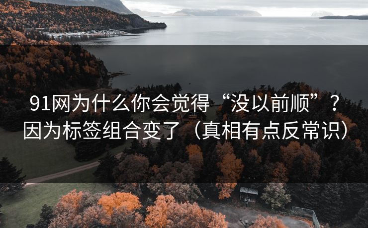 91网为什么你会觉得“没以前顺”?因为标签组合变了(真相有点反常识) 91网为什么你会觉得“没以前顺”?因为标签组合变了(真相有点反常识)